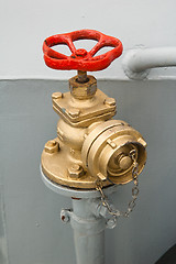 Image showing hydrant 