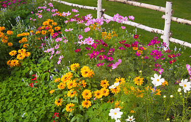 Image showing Well-groomed spring garden