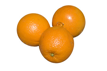 Image showing Oranges