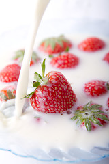 Image showing Strawberries and milk