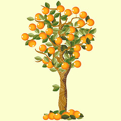 Image showing Orange tree