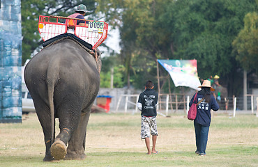 Image showing The Annual Elephant Roundup in Surin, Thailand