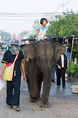 Image showing The Annual Elephant Roundup in Surin, Thailand