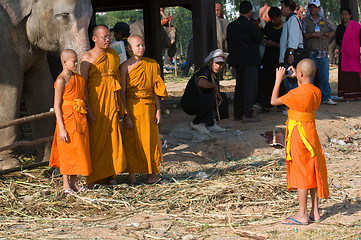 Image showing The Annual Elephant Roundup in Surin, Thailand