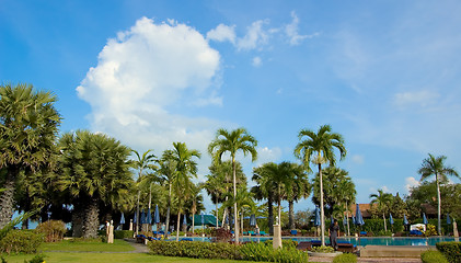 Image showing Paradise Vacation