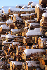 Image showing Stacked Firewood in Winter Snow