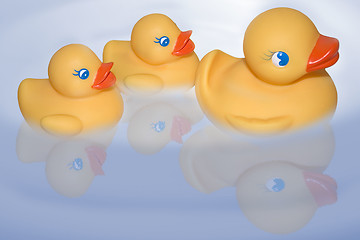 Image showing floating duckies