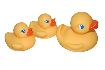 Image showing Rubber Duckies