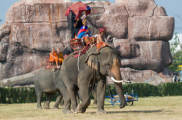 Image showing The Annual Elephant Roundup in Surin, Thailand