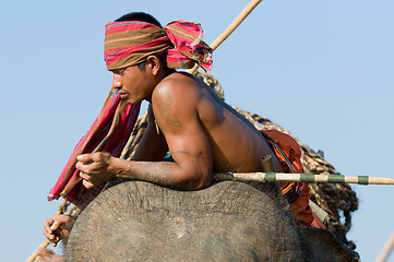 Image showing The Annual Elephant Roundup in Surin, Thailand