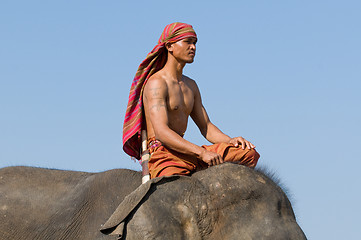 Image showing The Annual Elephant Roundup in Surin, Thailand