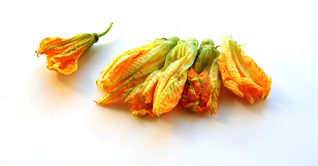 Image showing five squash flowers