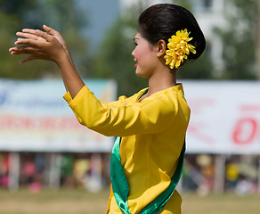 Image showing The Annual Elephant Roundup in Surin, Thailand