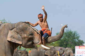 Image showing The Annual Elephant Roundup in Surin, Thailand