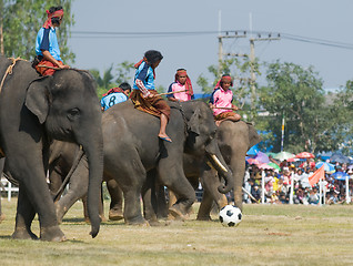 Image showing The Annual Elephant Roundup in Surin, Thailand