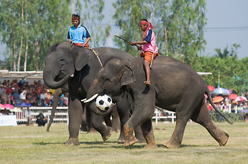 Image showing The Annual Elephant Roundup in Surin, Thailand