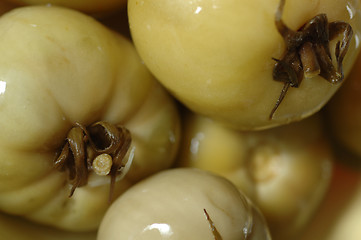 Image showing pickled tomatoes