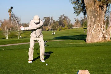 Image showing Golfer