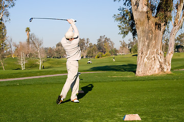 Image showing Golfer