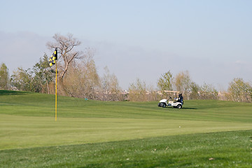 Image showing Golfer