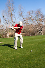 Image showing Golfer