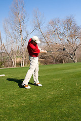 Image showing Golfer