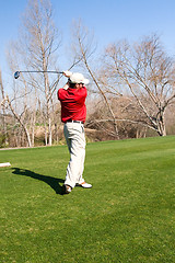 Image showing Golfer