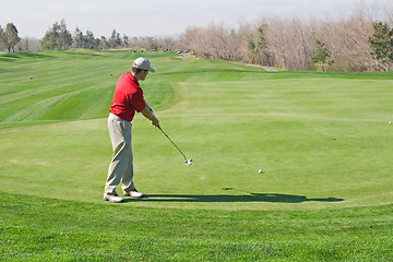 Image showing Golfer