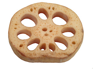 Image showing Lotus root