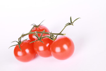 Image showing Cherry tomatoes