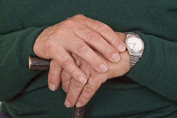 Image showing Walking stick in hands