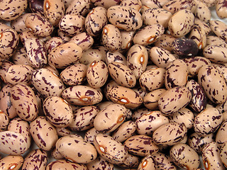 Image showing Spotted beans texture