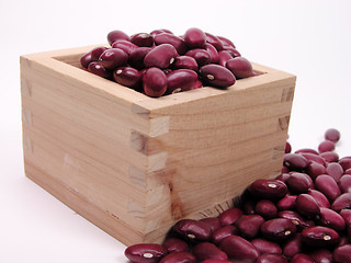 Image showing Brown beans