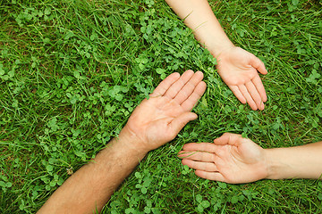 Image showing Three hands in grass