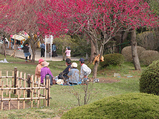 Image showing Hanami party