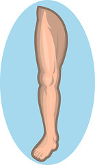 Image showing Human leg facing front