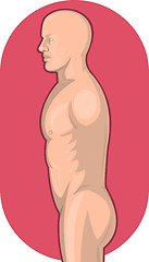 Image showing Male human anatomy standing side view