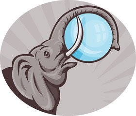 Image showing african elephant with sphere ball