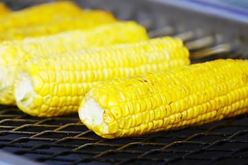 Image showing Grilled Corn