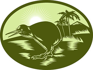 Image showing Kiwi bird