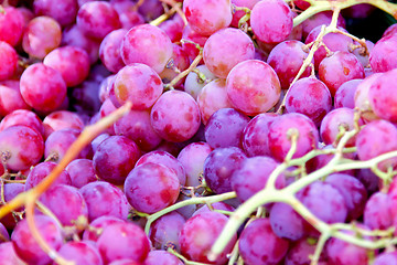 Image showing Red grapes