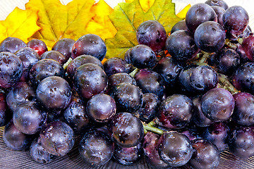 Image showing Dark grapes