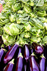 Image showing Eggplant and lettuce