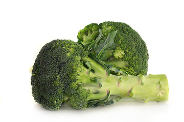 Image showing Broccoli