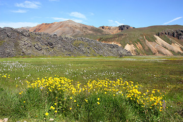 Image showing Iceland