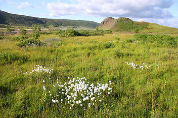 Image showing Iceland