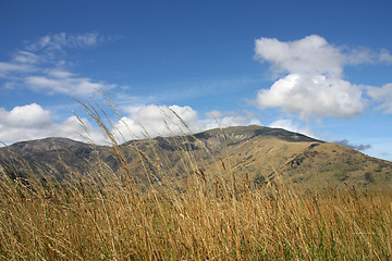 Image showing Otago