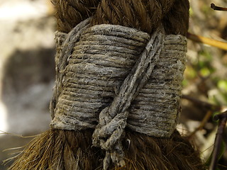 Image showing old rope detail