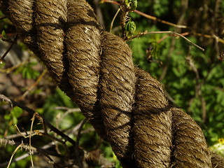 Image showing old rope detail