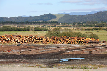 Image showing Lumber mill